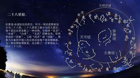 28星宿|二十八星宿（中国古代天文学名词）